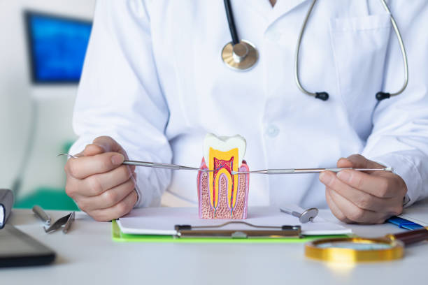 Best Emergency Root Canal Treatment in West Falls Church, VA